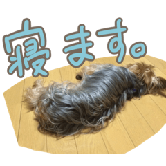 Nao_20230416220507