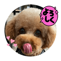 megumi_20230417142628