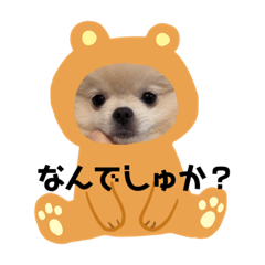 kana_20230417154028