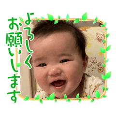 haru_20230417163852 – LINE stickers | LINE STORE