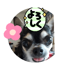 Smile_20230417173935