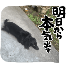 yuka_20230417213353