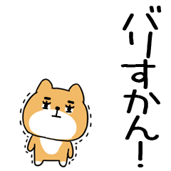 inuhakata100