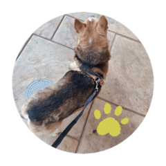 Sakura_20230417194308