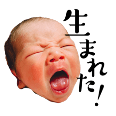 sakura_20230417221122