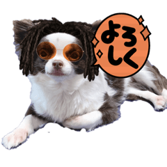 hana chakoten2