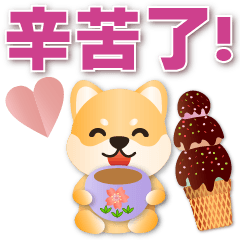 Cute Shiba Inu - Common Phrases
