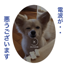 suzu_20230418121930