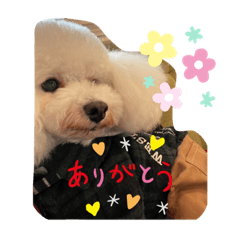 misa_20230418113635
