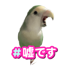 kana_20230418152638