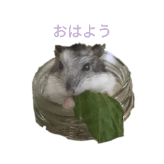 Yun_20230418160615
