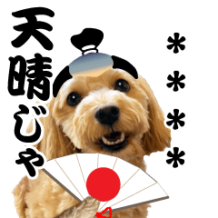 dog Maru-chan photo custom 02