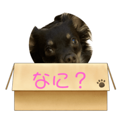 Yuka_20230419081259