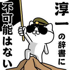 "JUNICHI" Name / Military cat