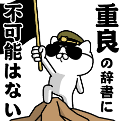 "SHIGEYOSHI" Name / Military cat