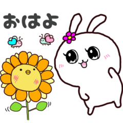 Cute Bunny Usako