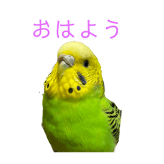 Nozomi_20230418193449