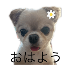 aoi_20230418201930