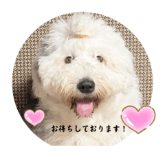 momoko_20230418210356