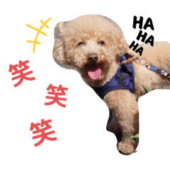 Ryu stamp (Kansaiben)