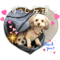 peco_20230418214036