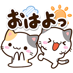 Small Black white cat and Calico cat