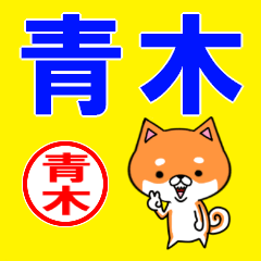 ★青木(あおき・アオキ)な柴犬のシバッキー