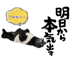 KOTO_20230418205951