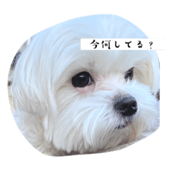 Mitsuki_20230419131843