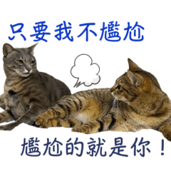 幸福喵生 - Cookie & Bambi