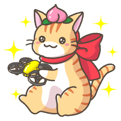 Cat with Drone! Ver2.0