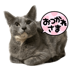ruru_20230419164252