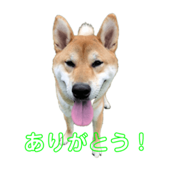 KOTO_20230419164116