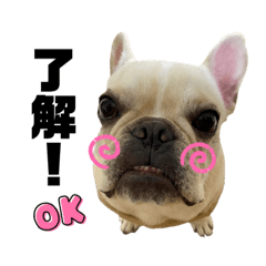 Omochi_20230419170501