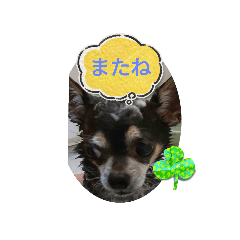 Smile_20230419171748