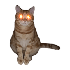 maipan_20230419173402