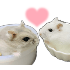 yukari_20230419191820