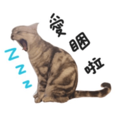 可愛的搗灰