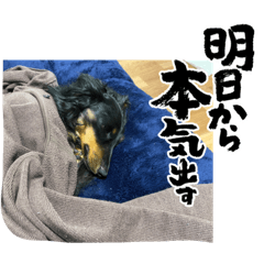 yuka_20230419211108