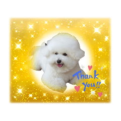 JUNKO_20230419211637