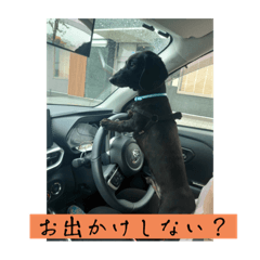 yuka_20230420131932