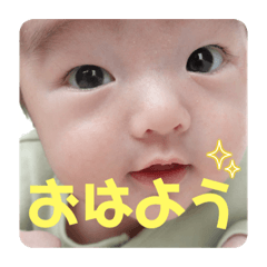 free_20230420130229