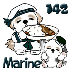 Shih Tzu dog 142 (Marine)