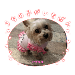 NAGAYO_20230420052810