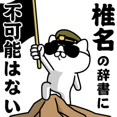 "SHIINA" Name / Military cat