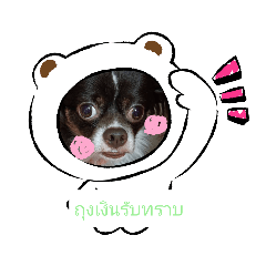 Krissaya_20230420104542