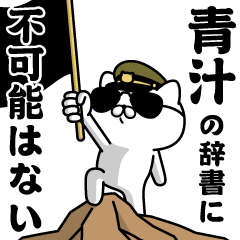 "AOJIRU" Name / Military cat