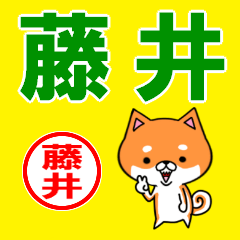 ★藤井(ふじい・フジイ)な柴犬のシバッキー