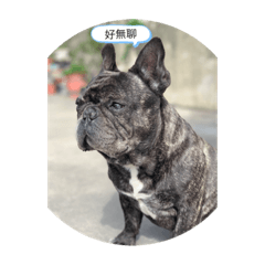 阿麥的貼圖