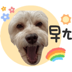 我愛毛毛 毛毛愛我